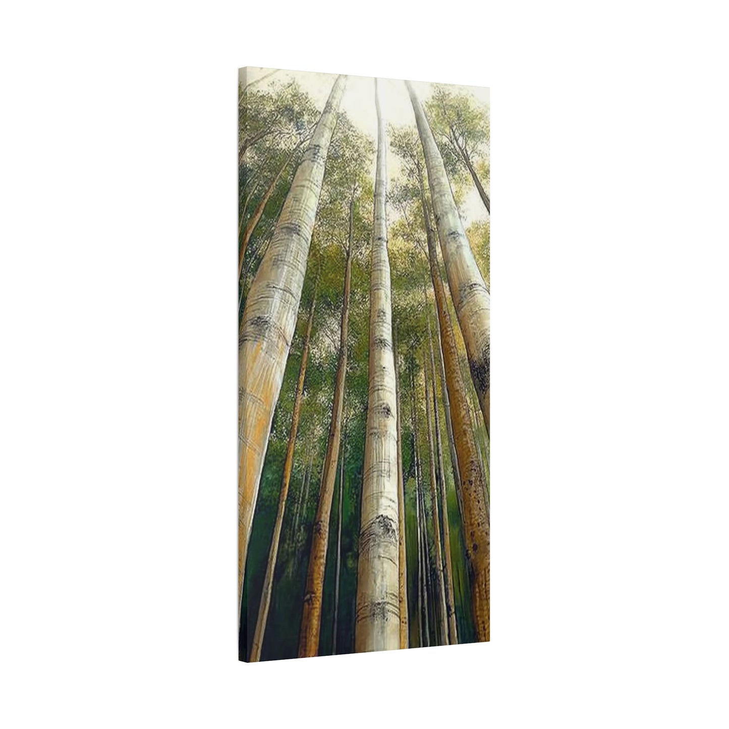 Canvas Art - Tall Aspens