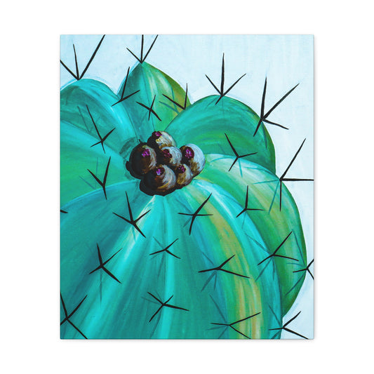 Canvas Print - Barrel Cactus Two