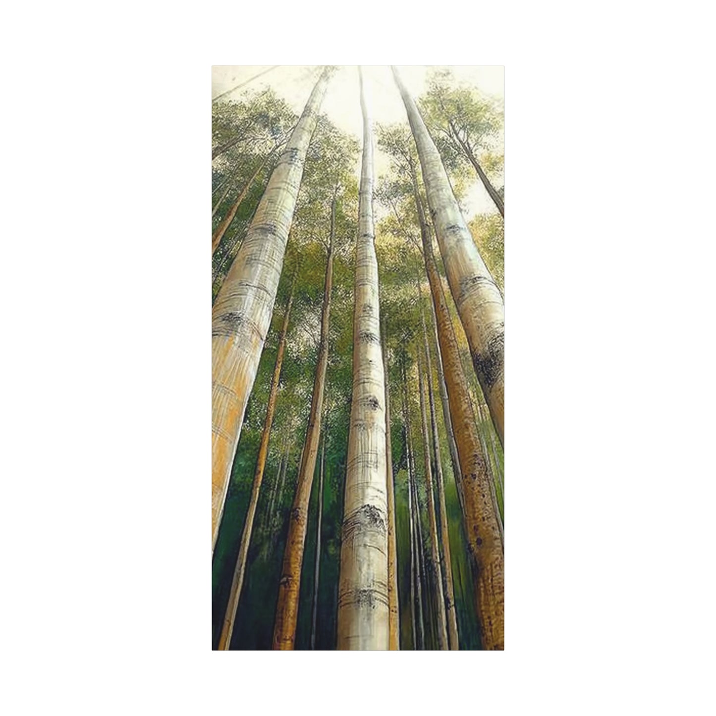 Canvas Art - Tall Aspens