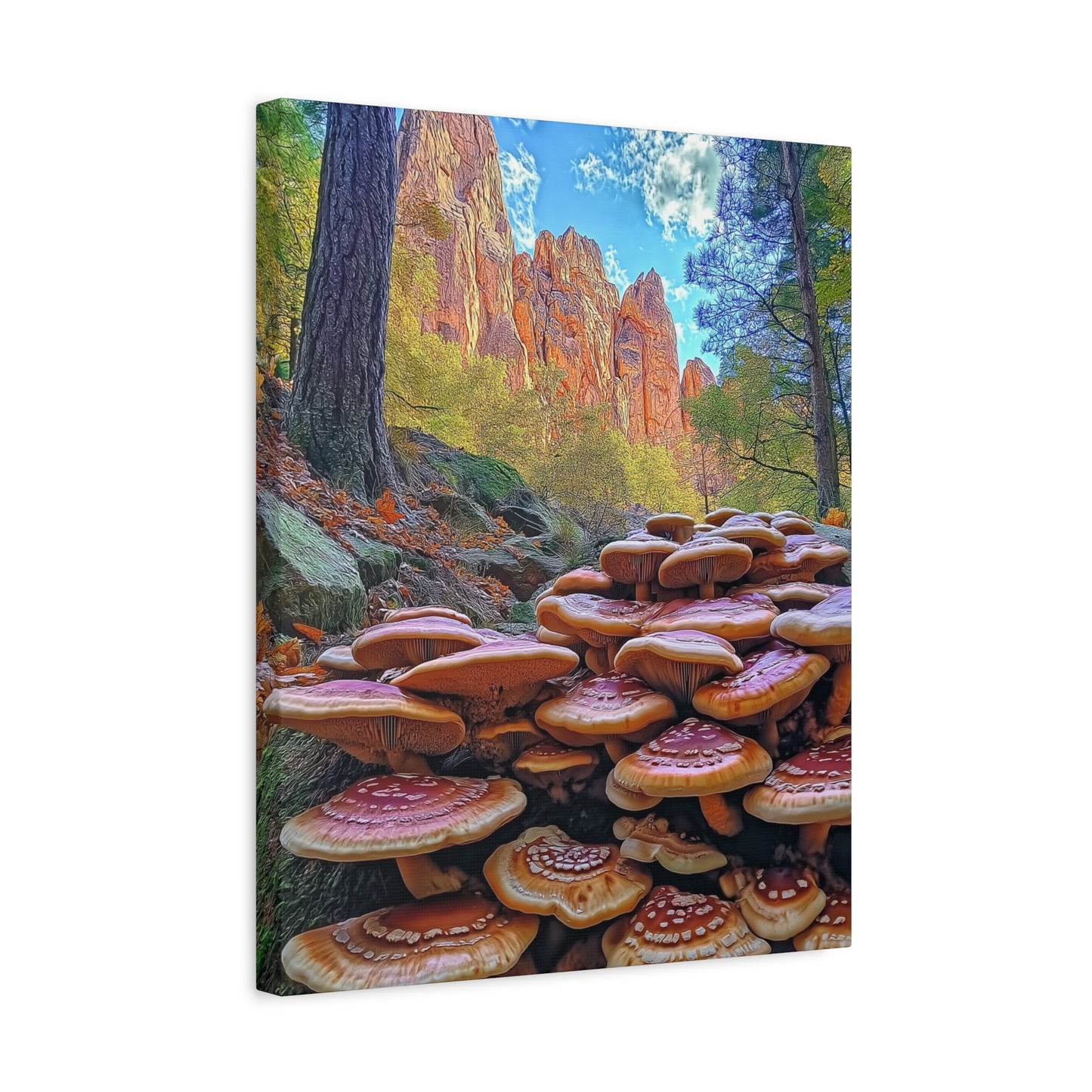 Canvas Print - Forest Mushrooms in the Rockies Two