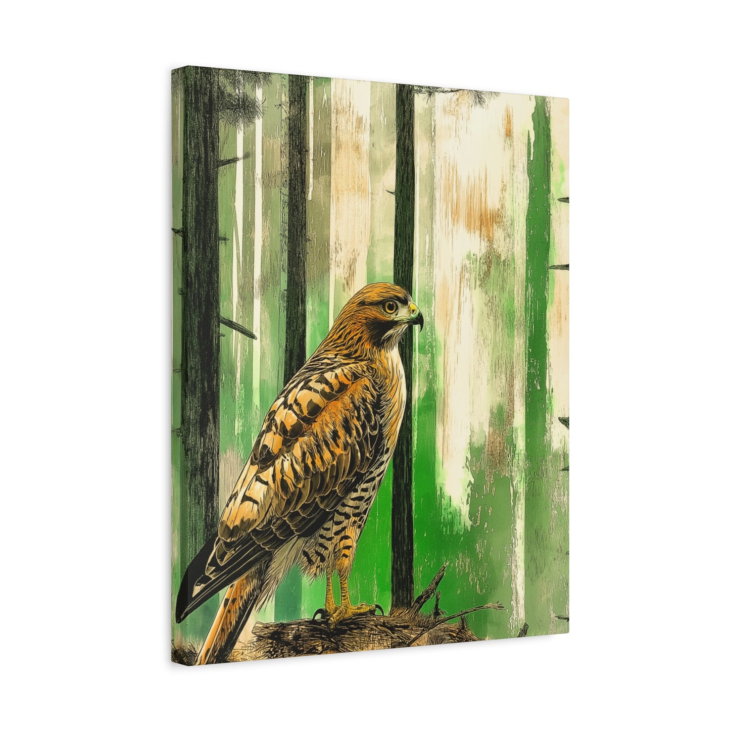 Canvas Print Red Tailed Hawk in Colorado Forest