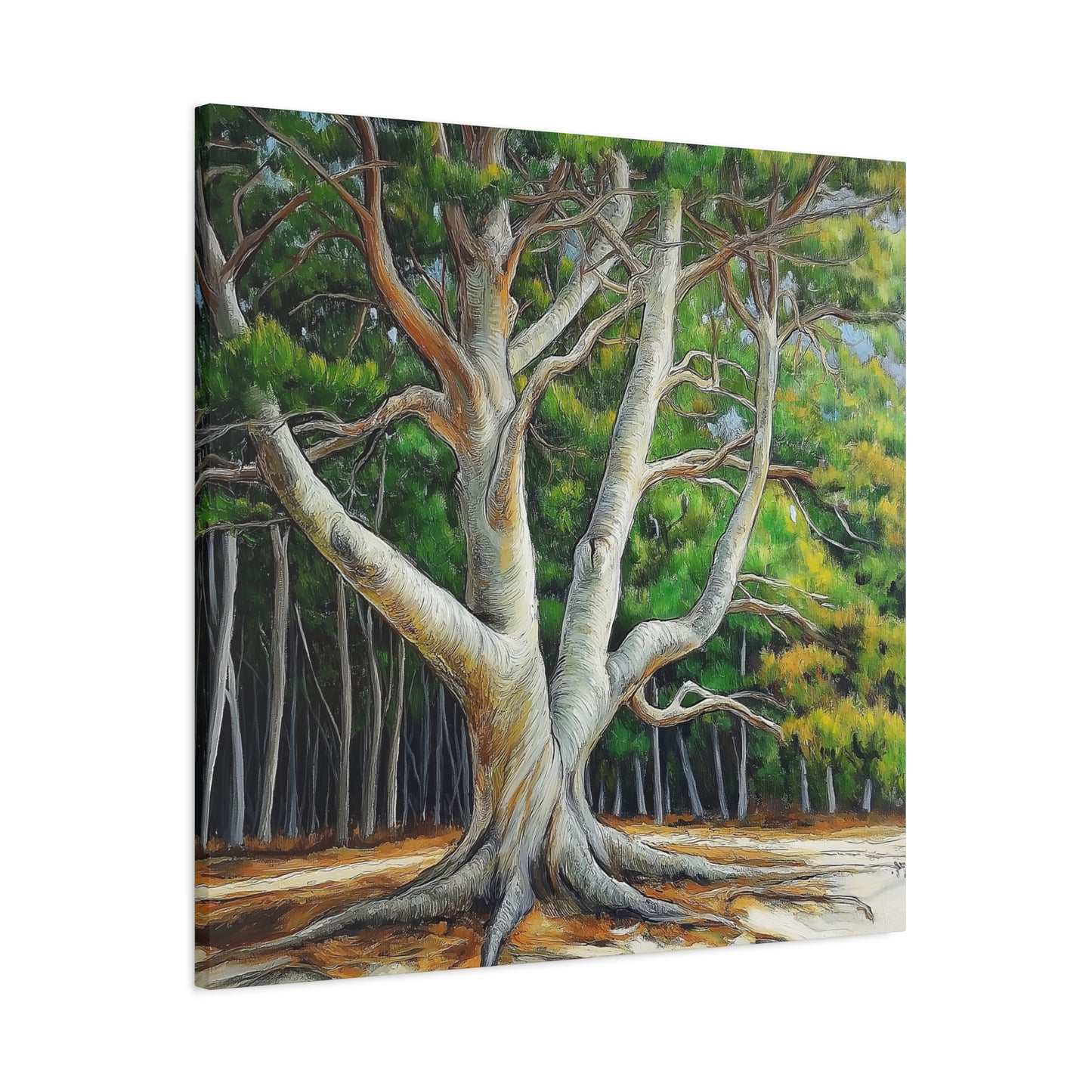 Canvas Wall Art - Pondering Pine Tree No 2