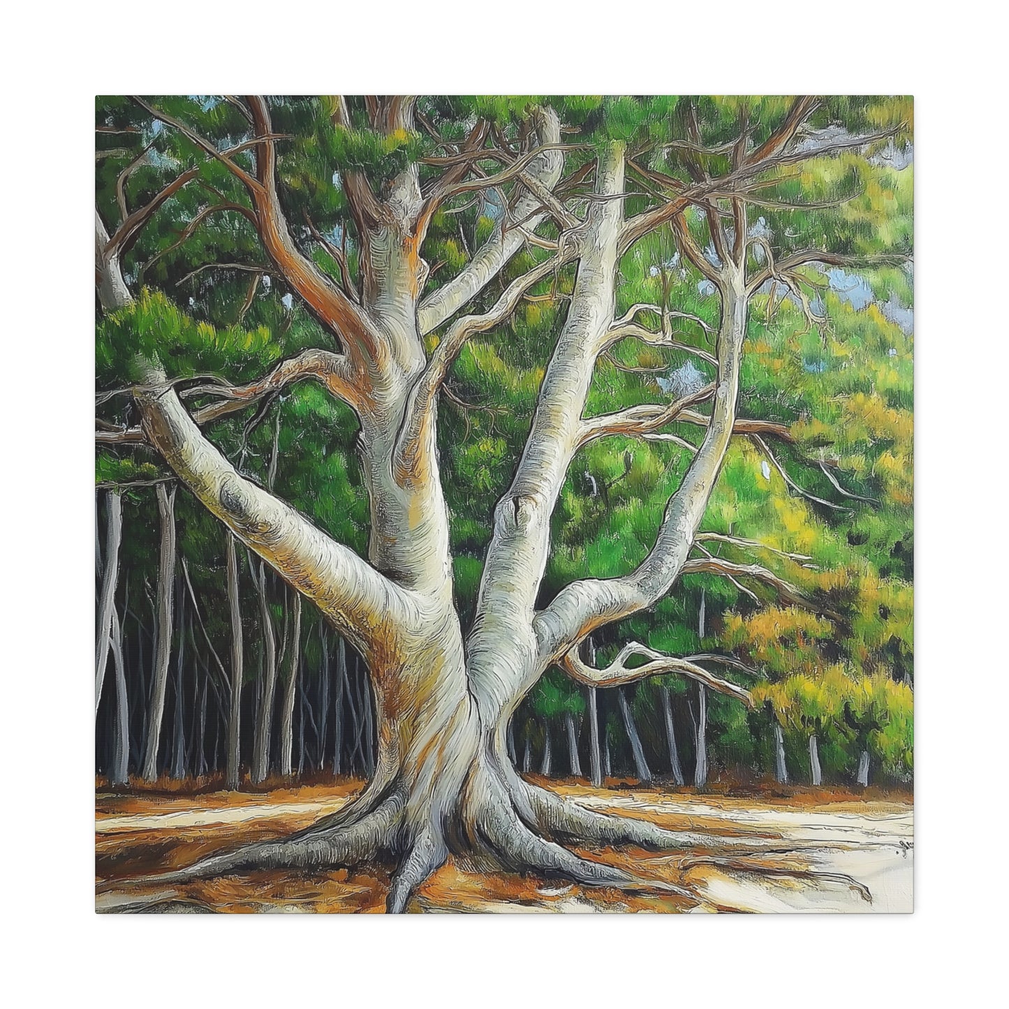Canvas Wall Art - Pondering Pine Tree No 2