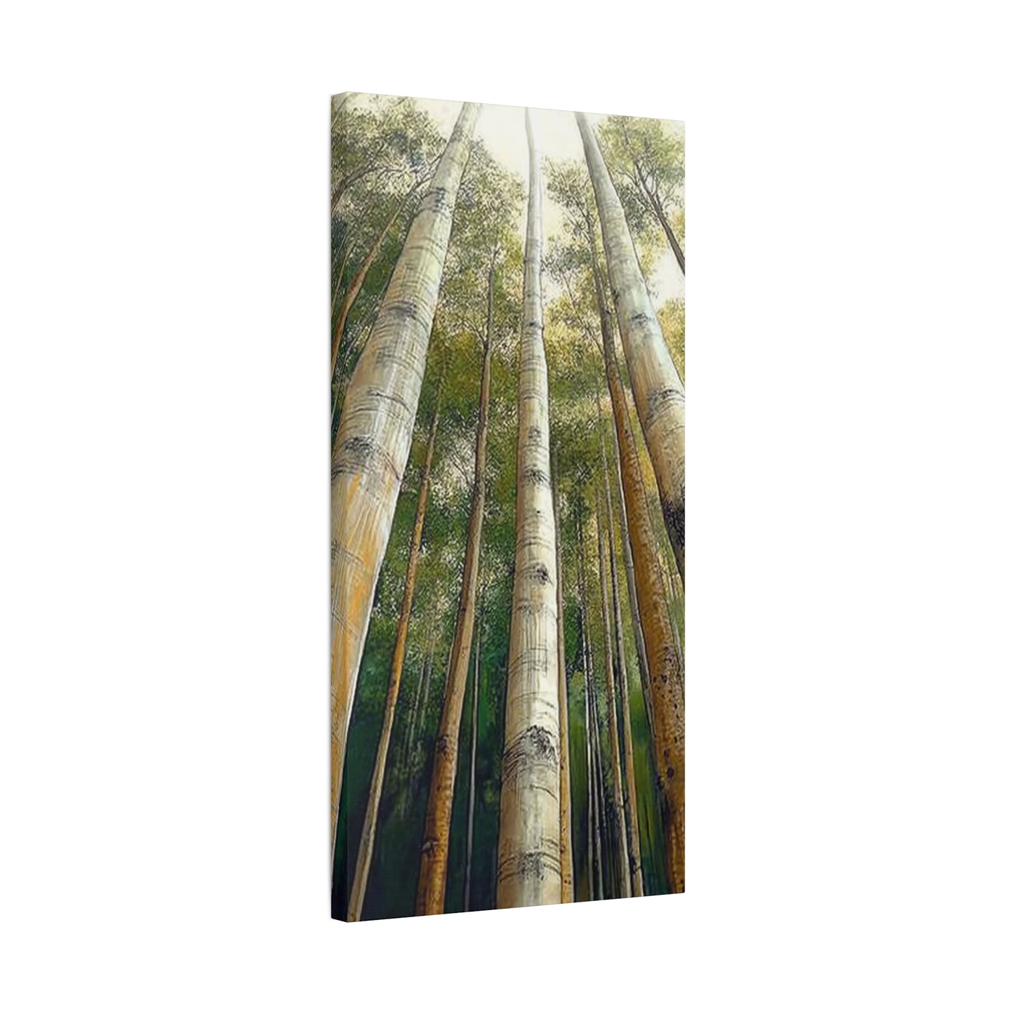 Canvas Art - Tall Aspens