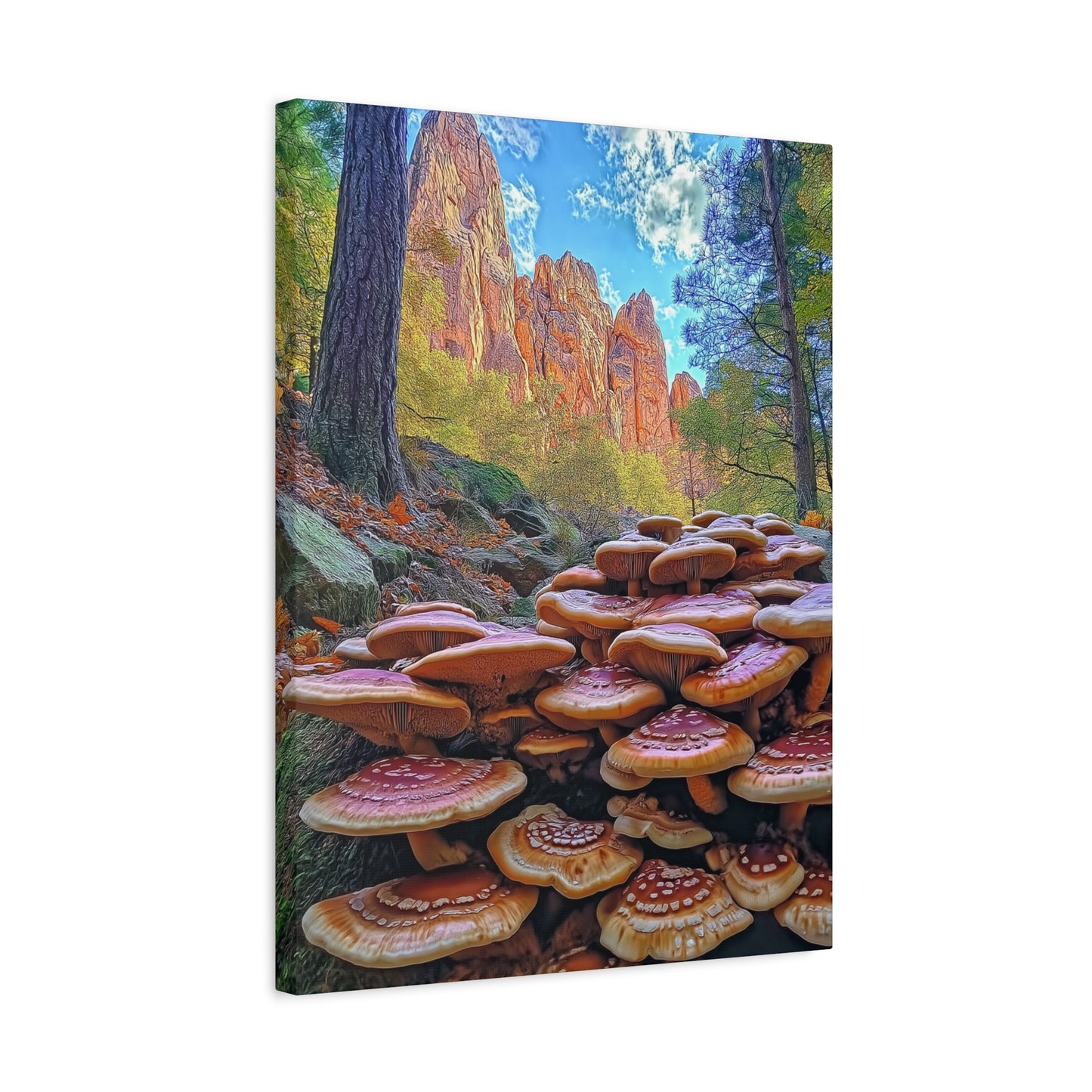 Canvas Print - Forest Mushrooms in the Rockies Two
