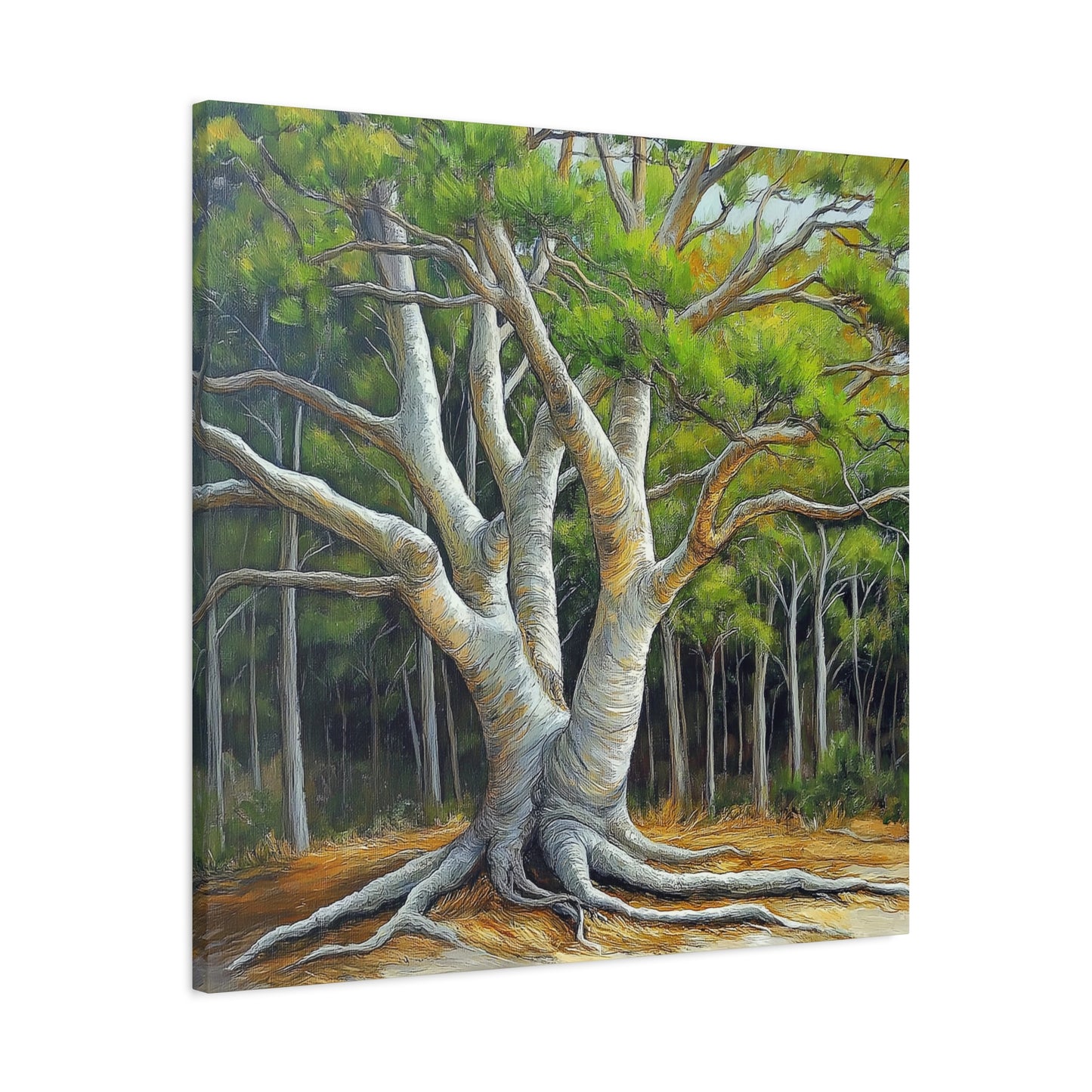 Canvas Wall Art - Pondering Pine Tree VI