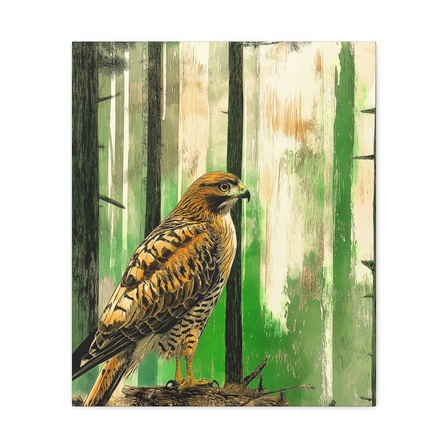 Canvas Print Red Tailed Hawk in Colorado Forest