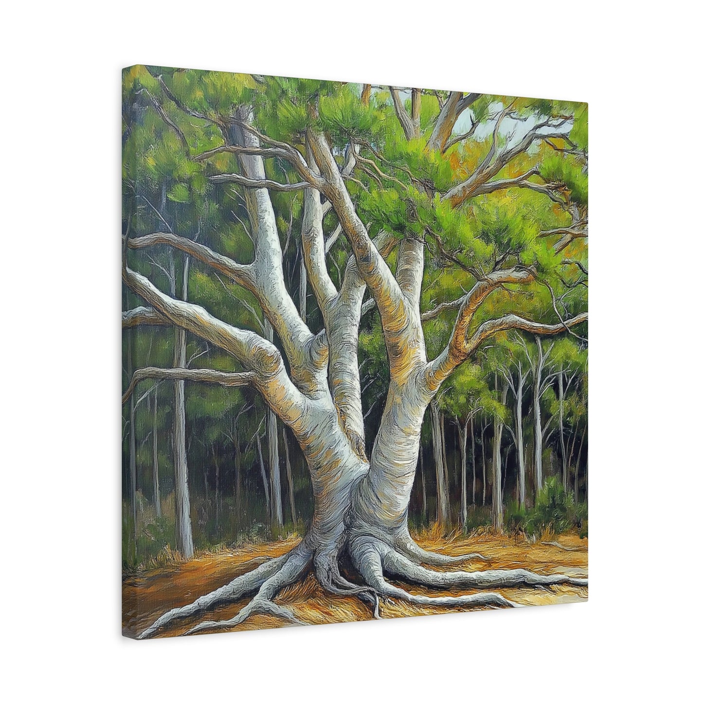 Canvas Wall Art - Pondering Pine Tree VI