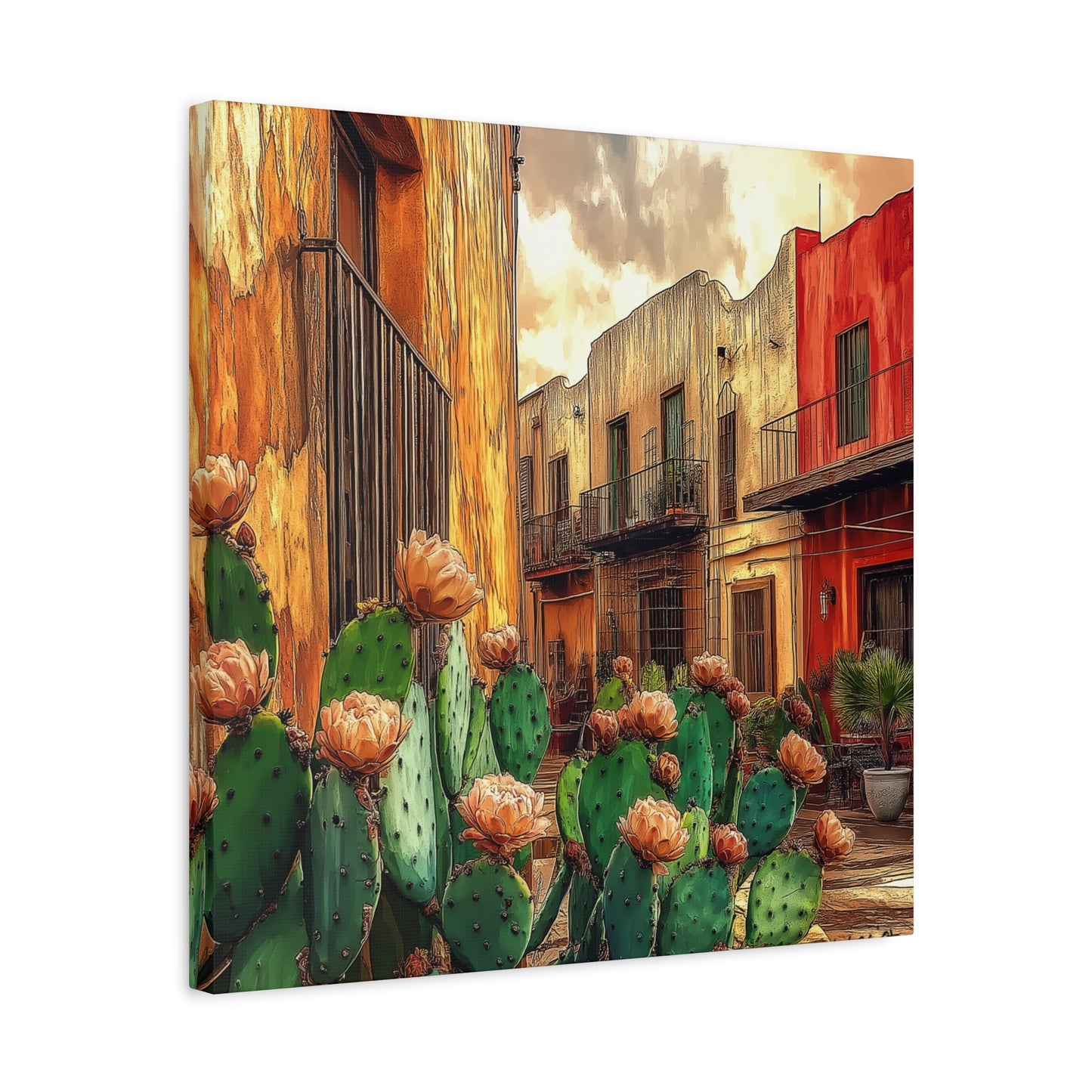 Cactus Village TC12