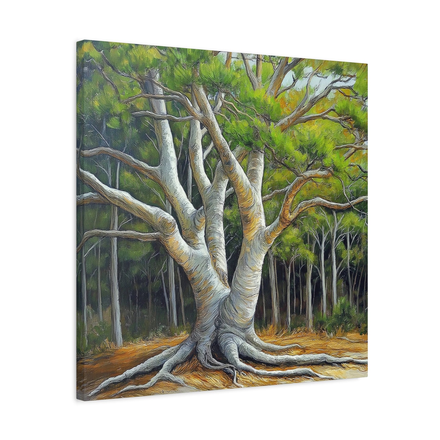 Canvas Wall Art - Pondering Pine Tree VI