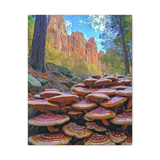 Canvas Print - Forest Mushrooms in the Rockies Two