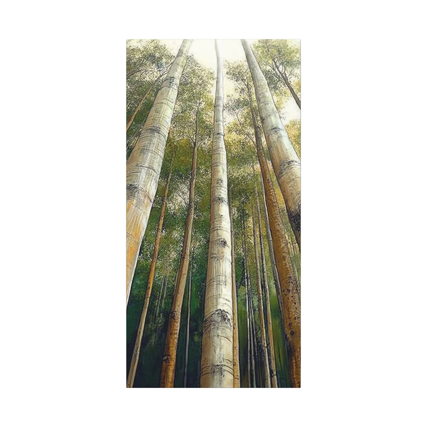 Canvas Art - Tall Aspens