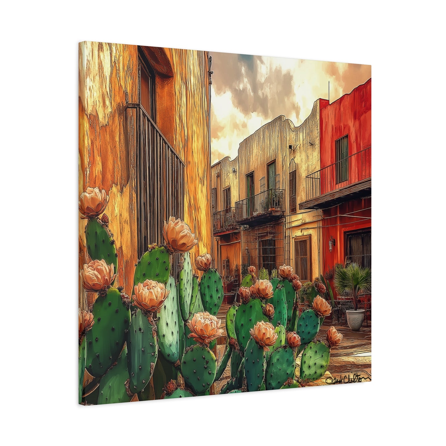 Cactus Village TC12