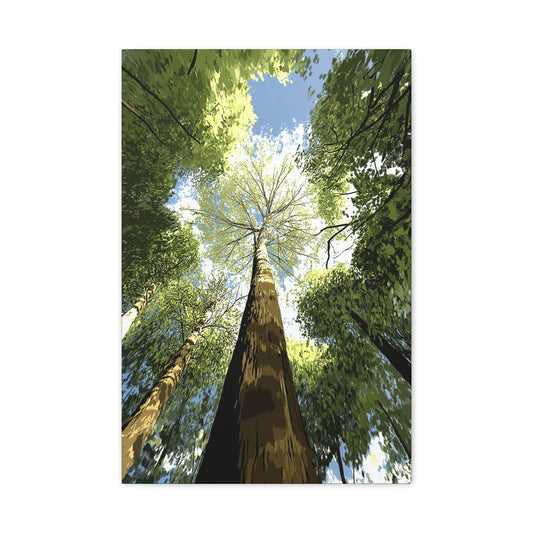 Skyward Pines - Colorado