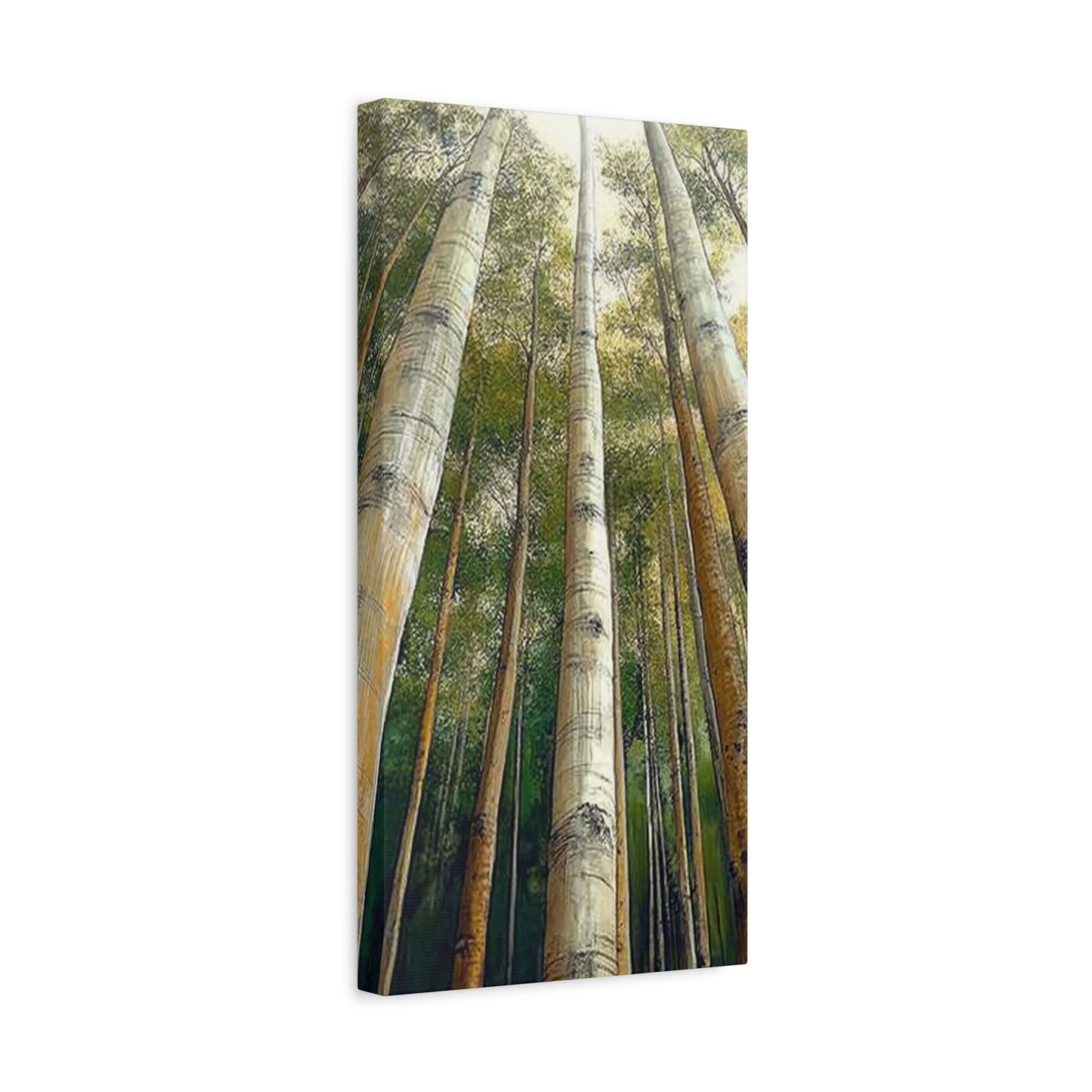 Canvas Art - Tall Aspens