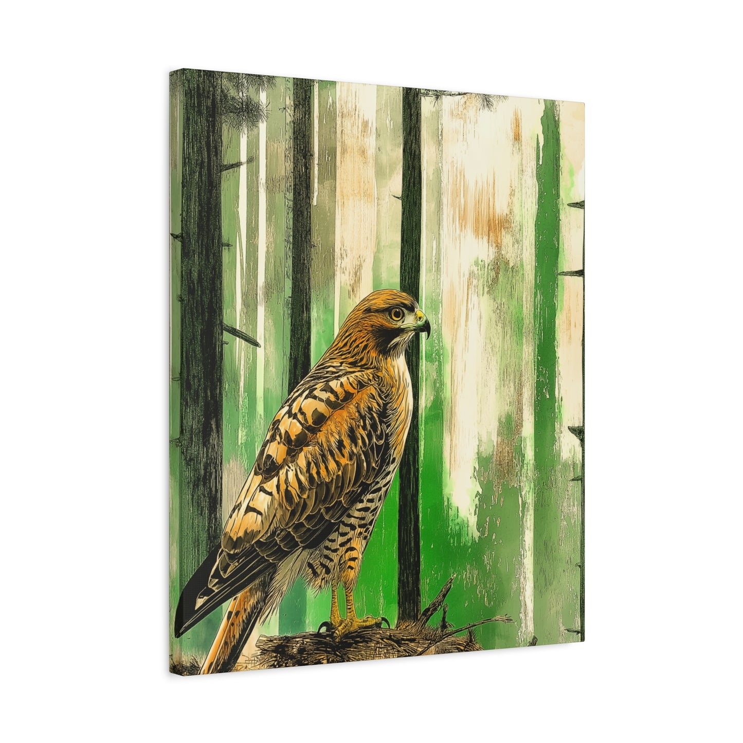 Canvas Print Red Tailed Hawk in Colorado Forest