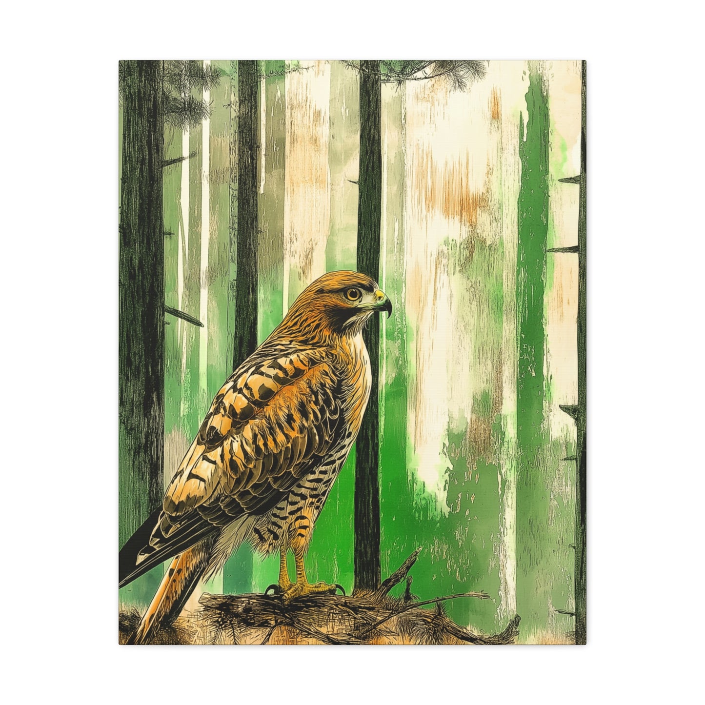 Canvas Print Red Tailed Hawk in Colorado Forest