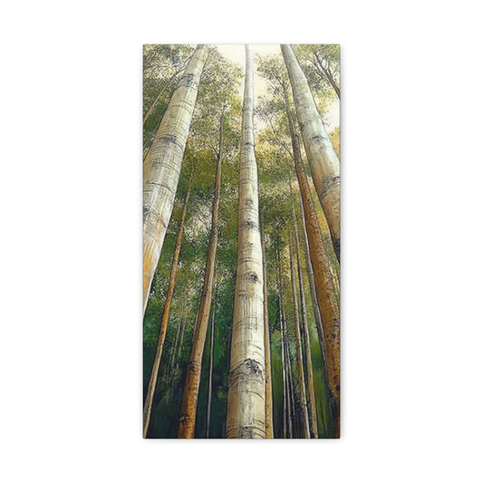 Canvas Art - Tall Aspens