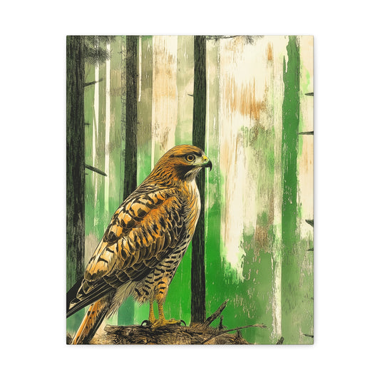 Canvas Print Red Tailed Hawk in Colorado Forest