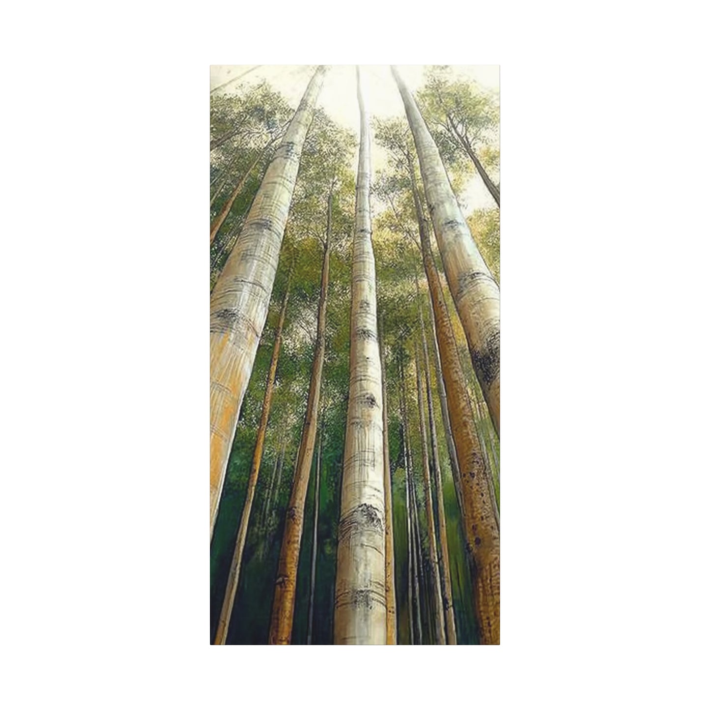 Canvas Art - Tall Aspens