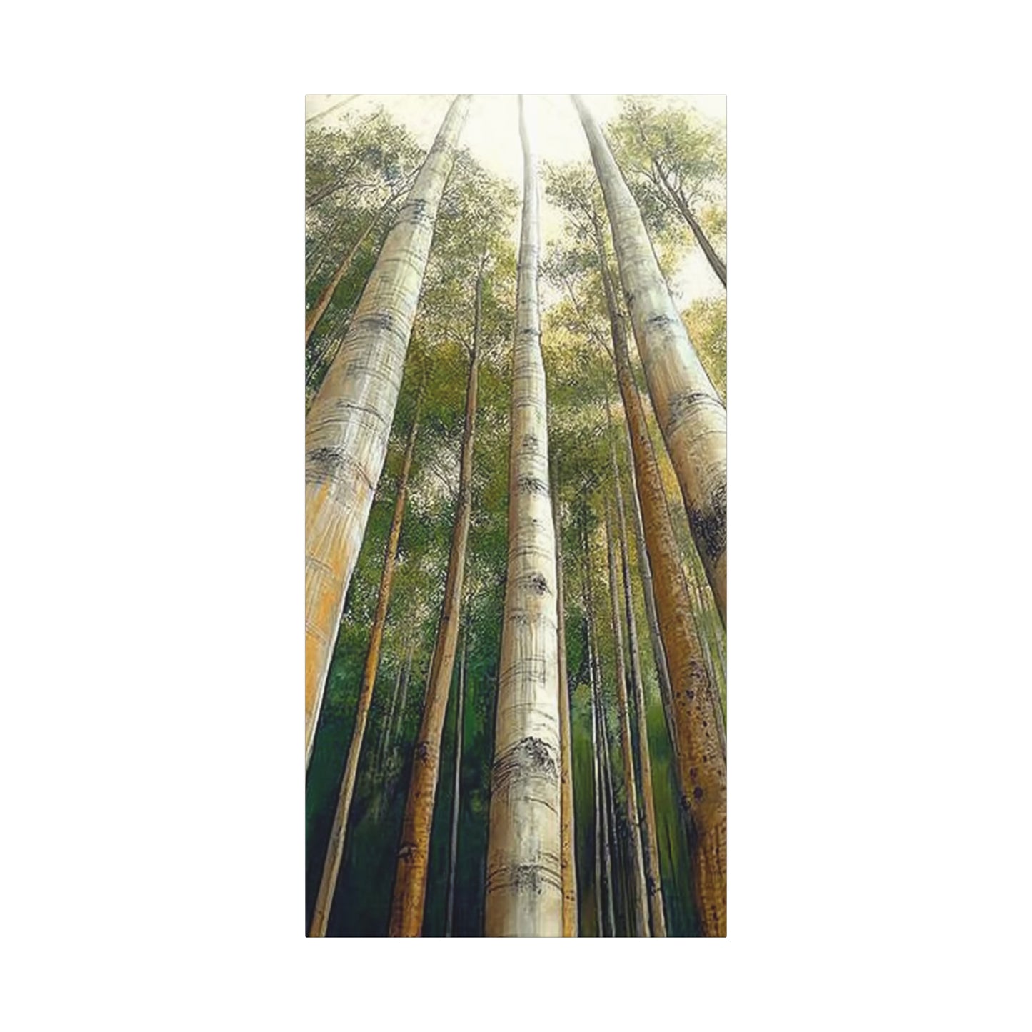 Canvas Art - Tall Aspens