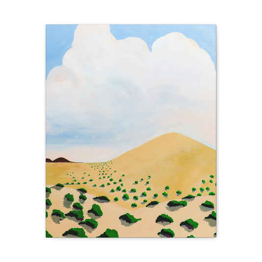 Desert Nothing New Mexico