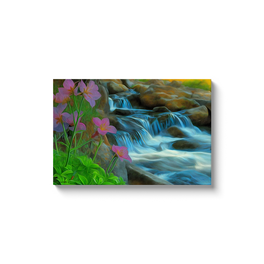 generated-proPreview-8