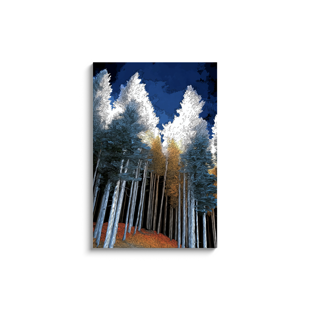 generated-proPreview-5