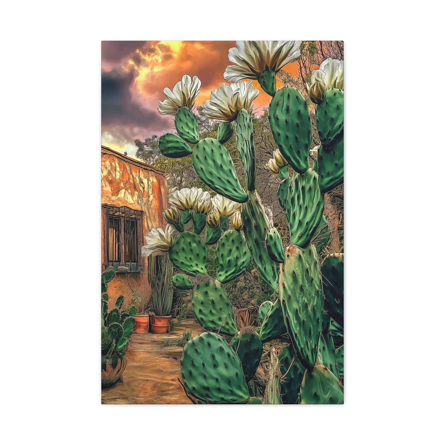 Cacti Glory Day