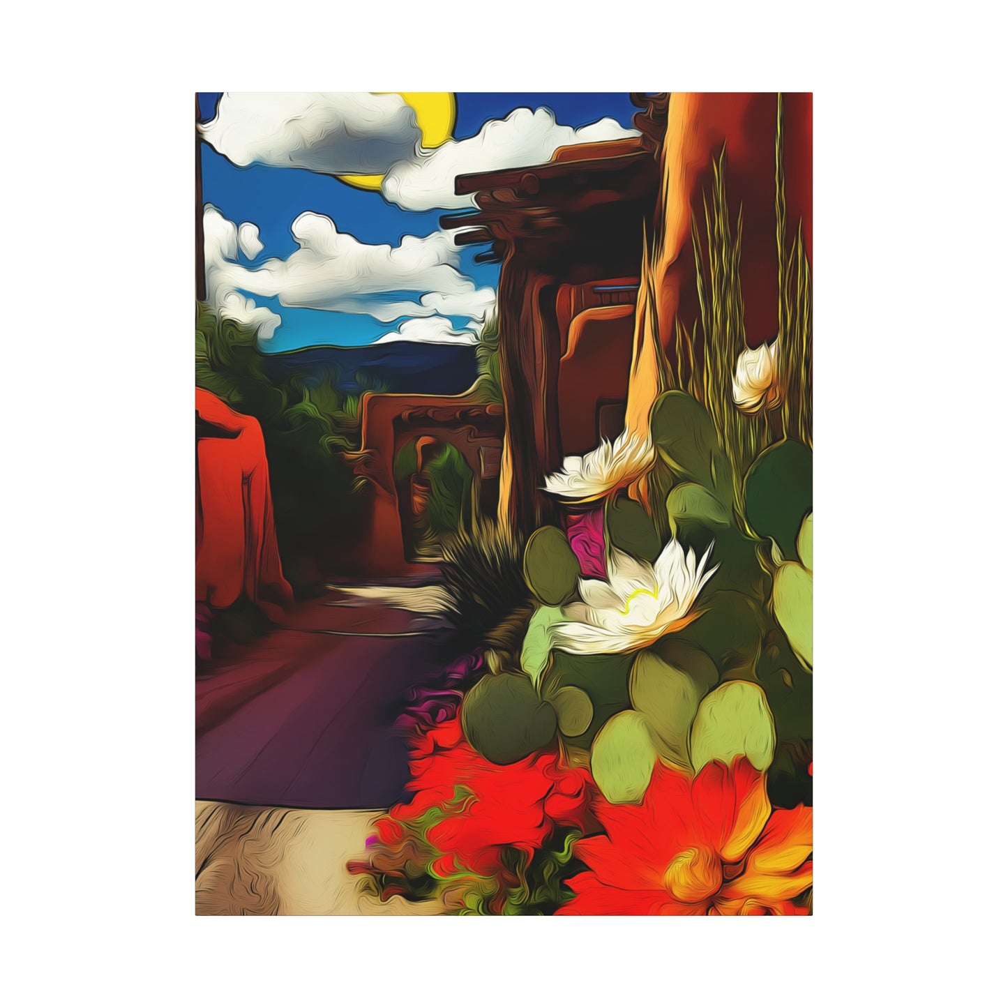 Taos Village 505