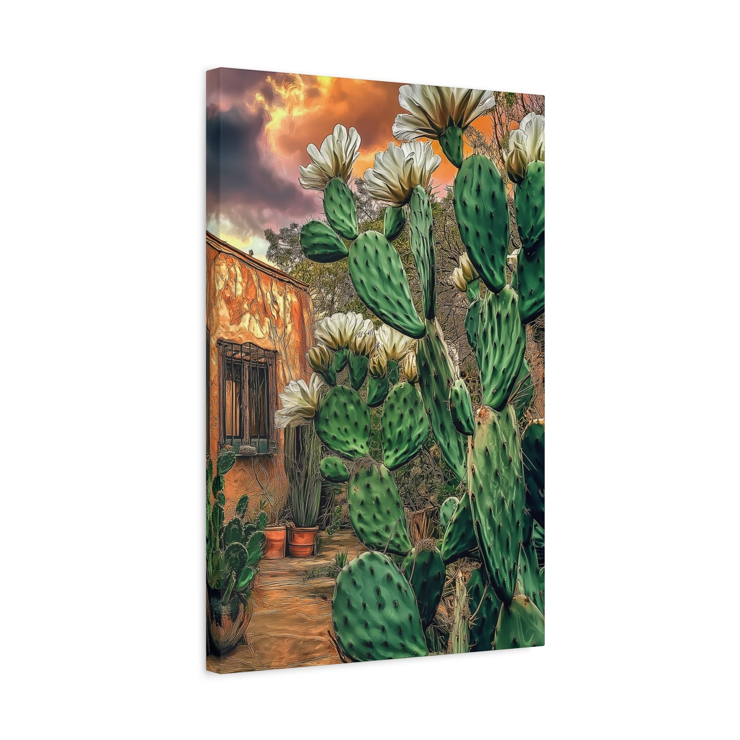 Cacti Glory Day