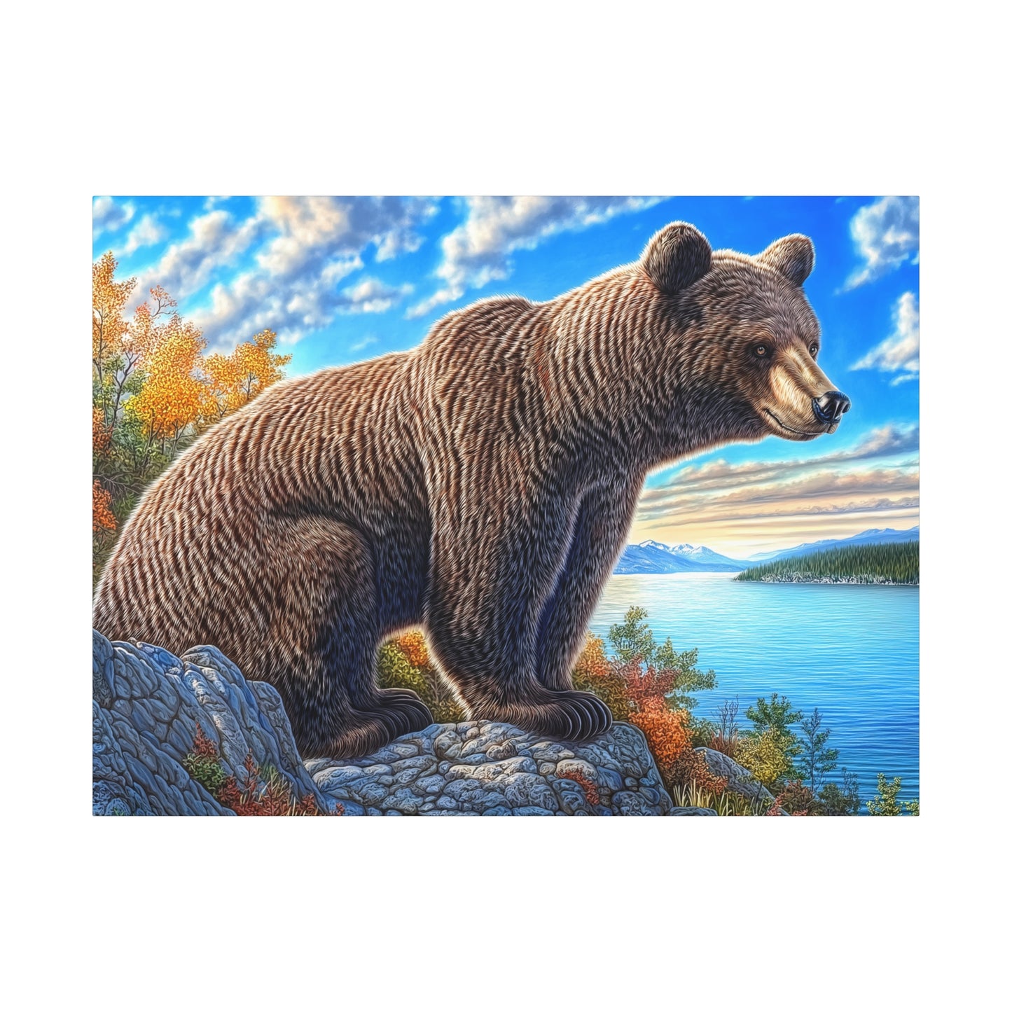 Canvas Wall Art - Colorado Brown Bear near Lake