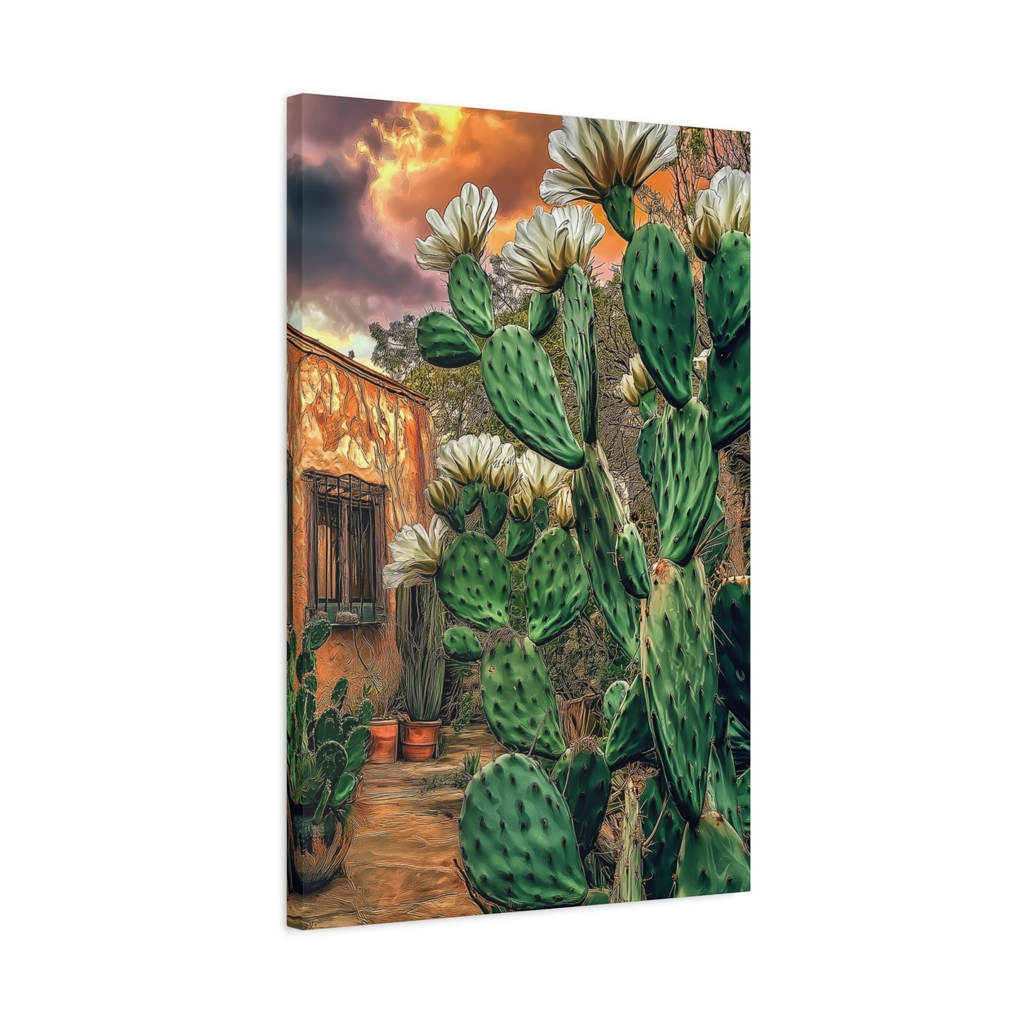 Cacti Glory Day