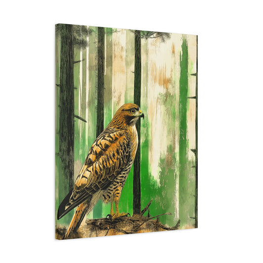 Canvas Print Red Tailed Hawk in Colorado Forest