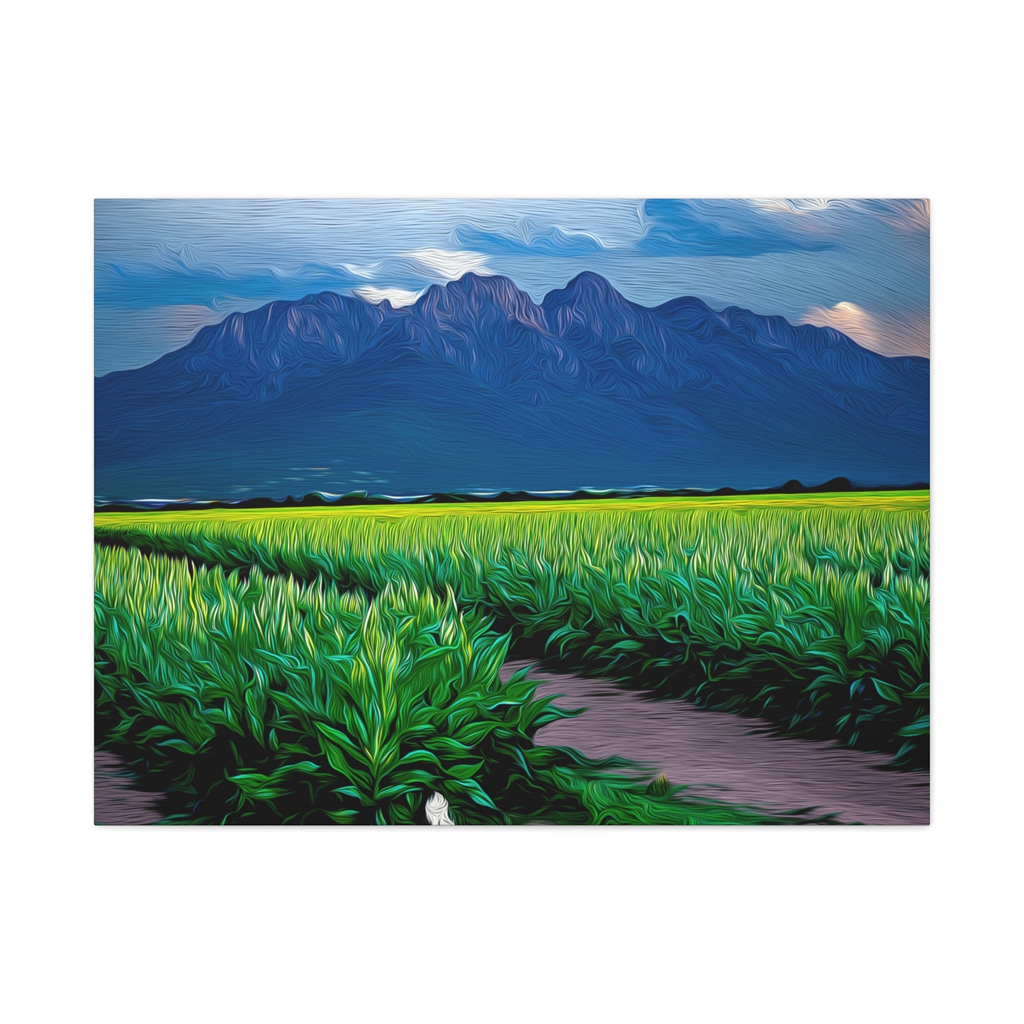 Canvas Print - Organ Mountains and Chile Field