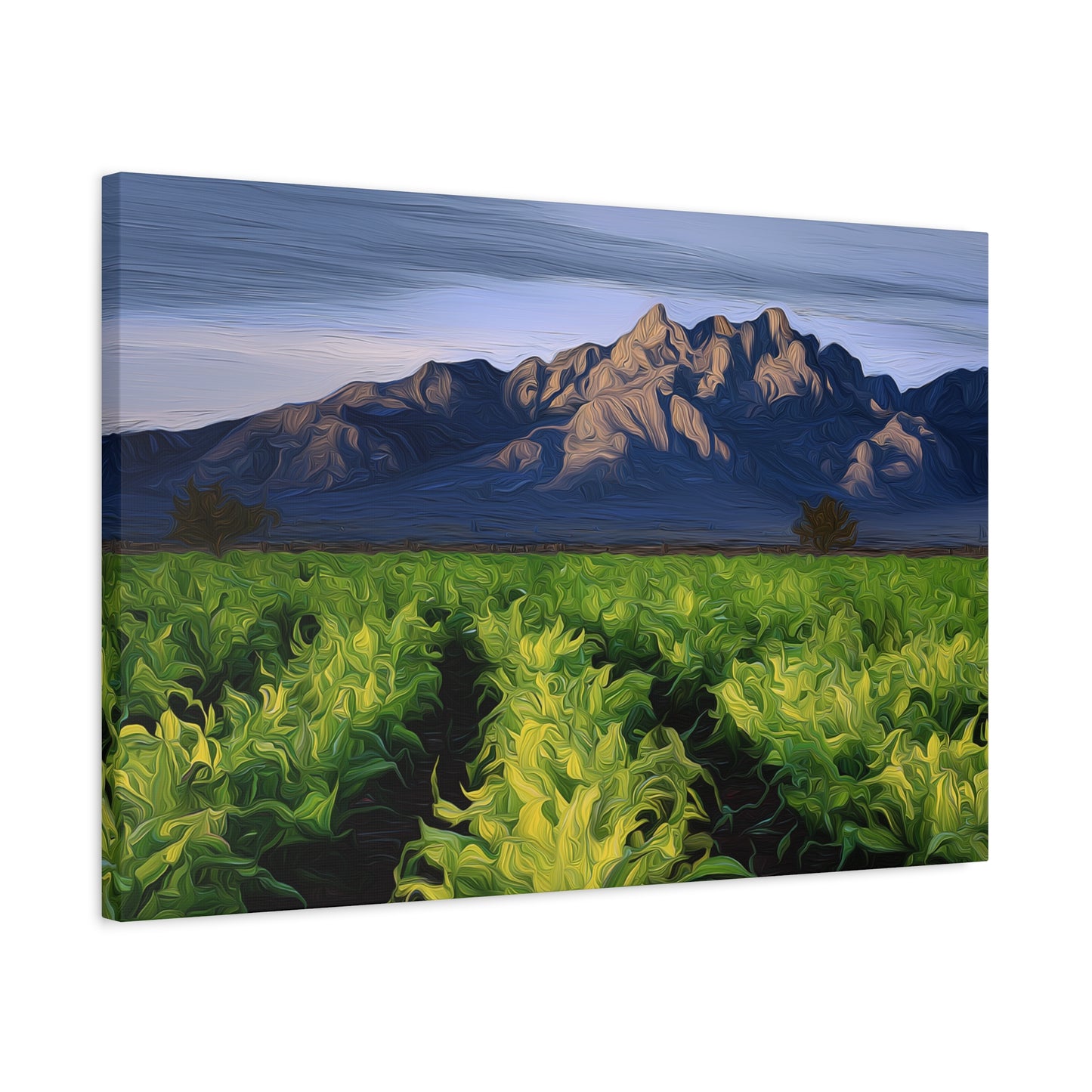 Canvas Print - Organ Mountains NM 405