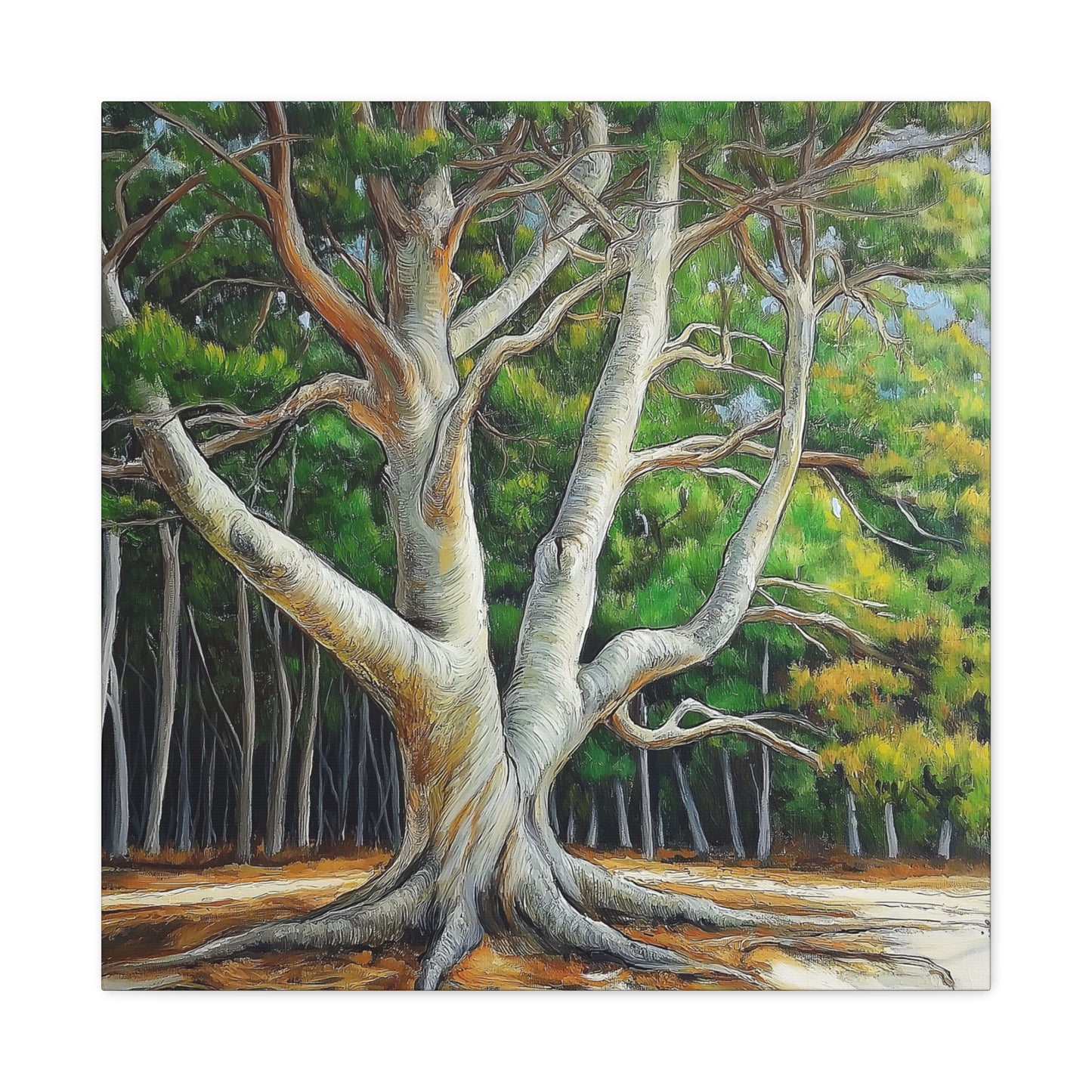 Canvas Wall Art - Pondering Pine Tree No 2