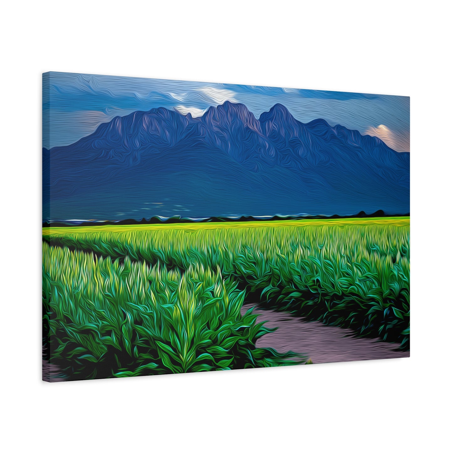 Canvas Print - Organ Mountains and Chile Field