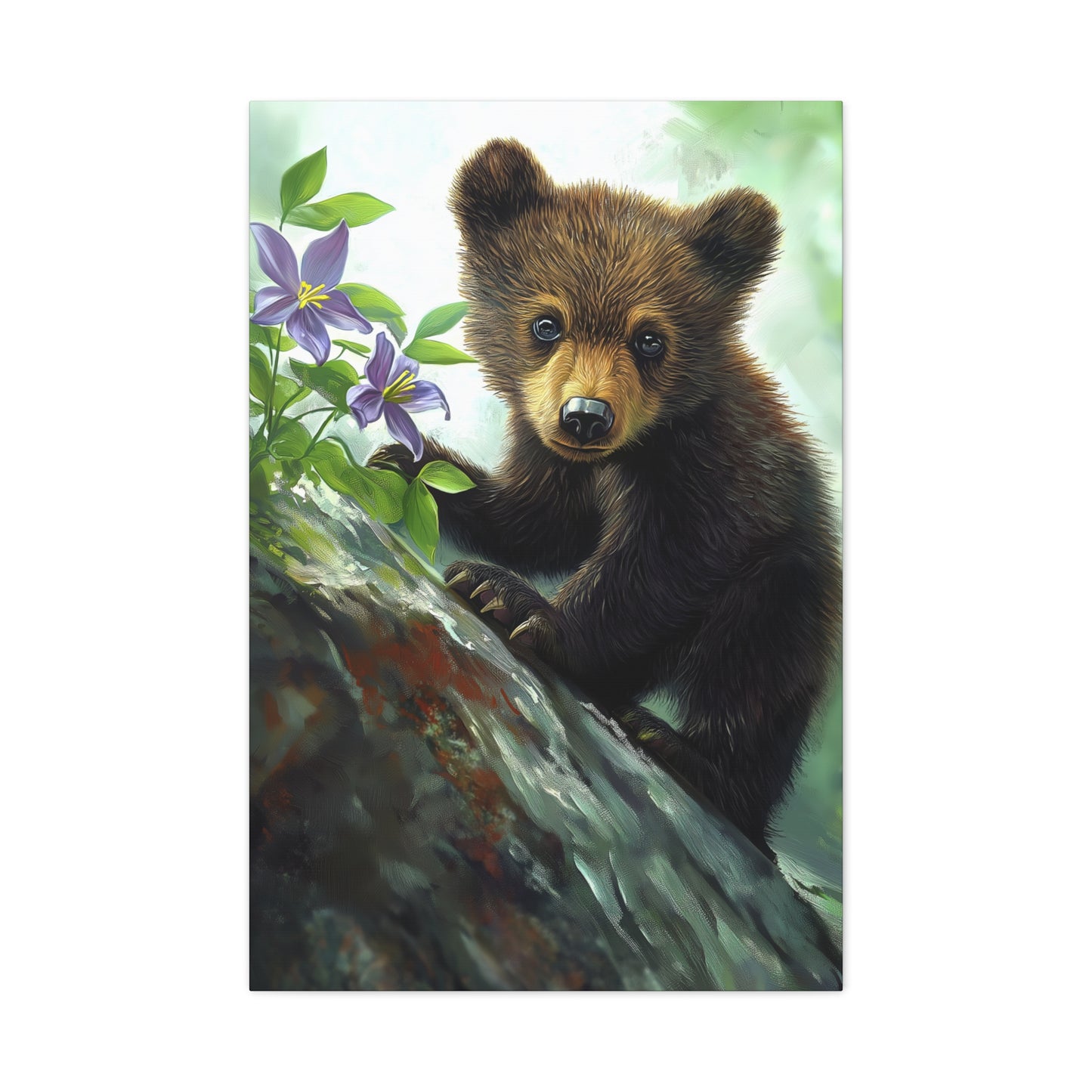Bear Cub v44