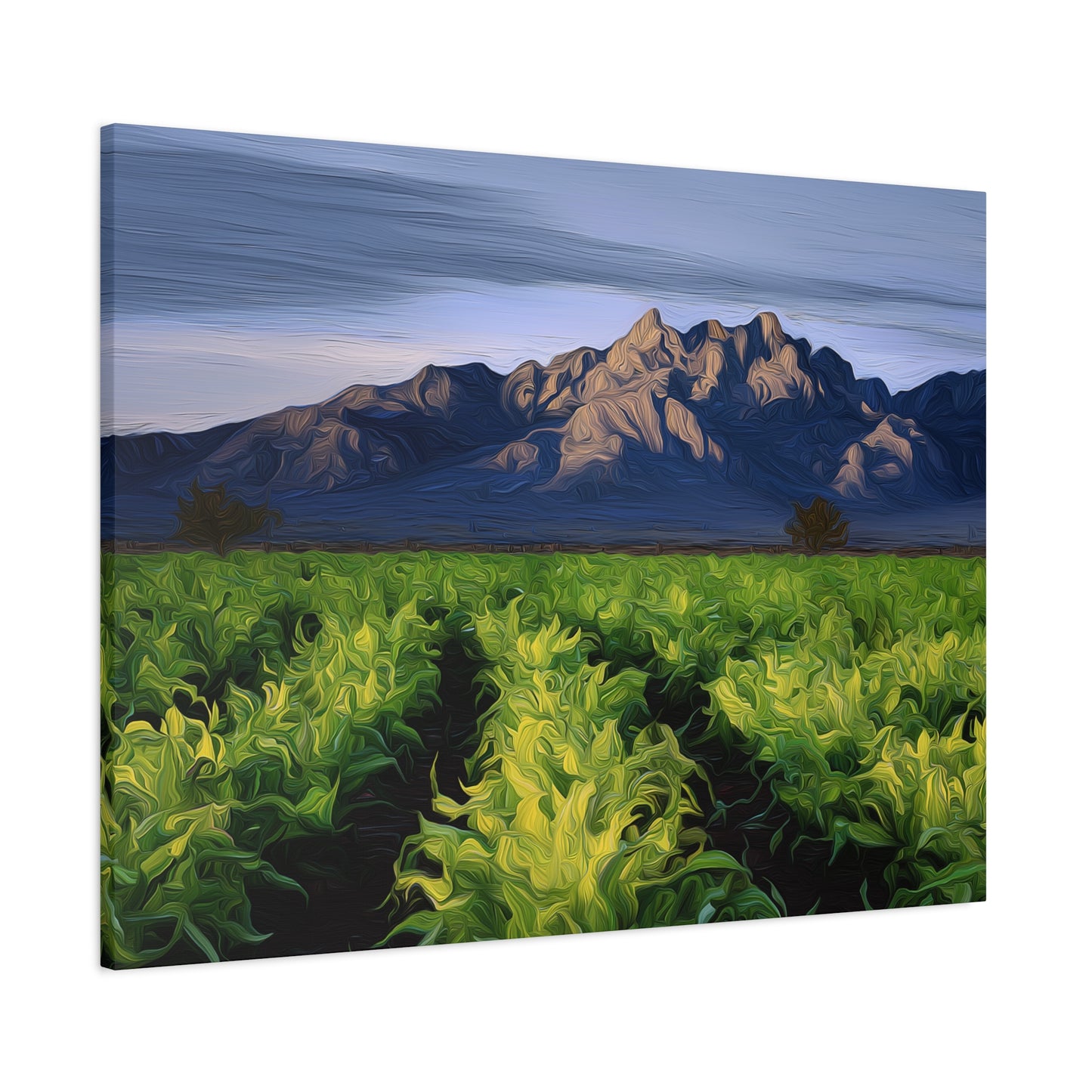 Canvas Print - Organ Mountains NM 405