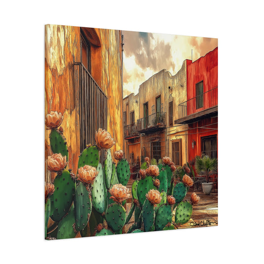 Cactus Village TC12
