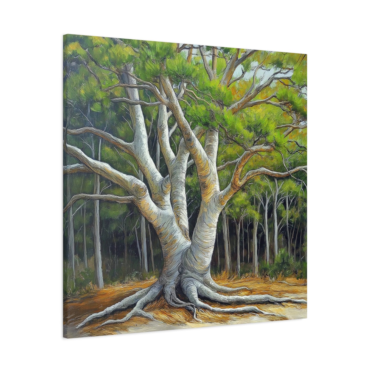 Canvas Wall Art - Pondering Pine Tree VI