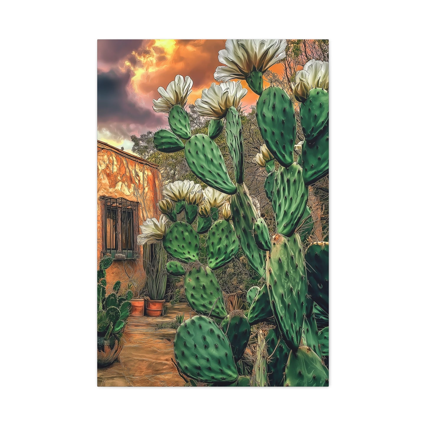 Cacti Glory Day