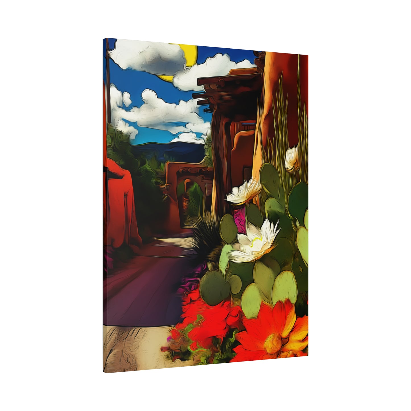 Taos Village 505