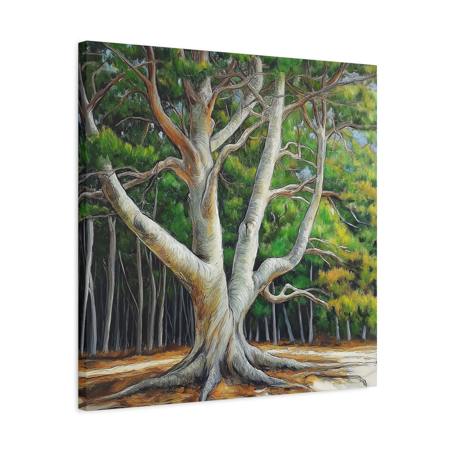 Canvas Wall Art - Pondering Pine Tree No 2