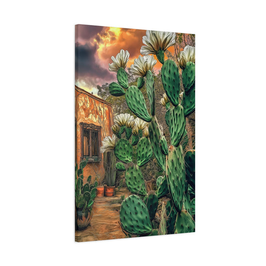 Cacti Glory Day