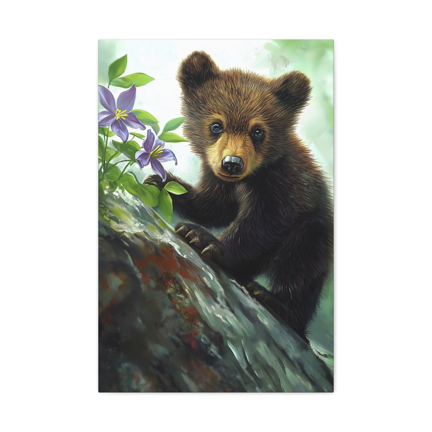 Bear Cub v44