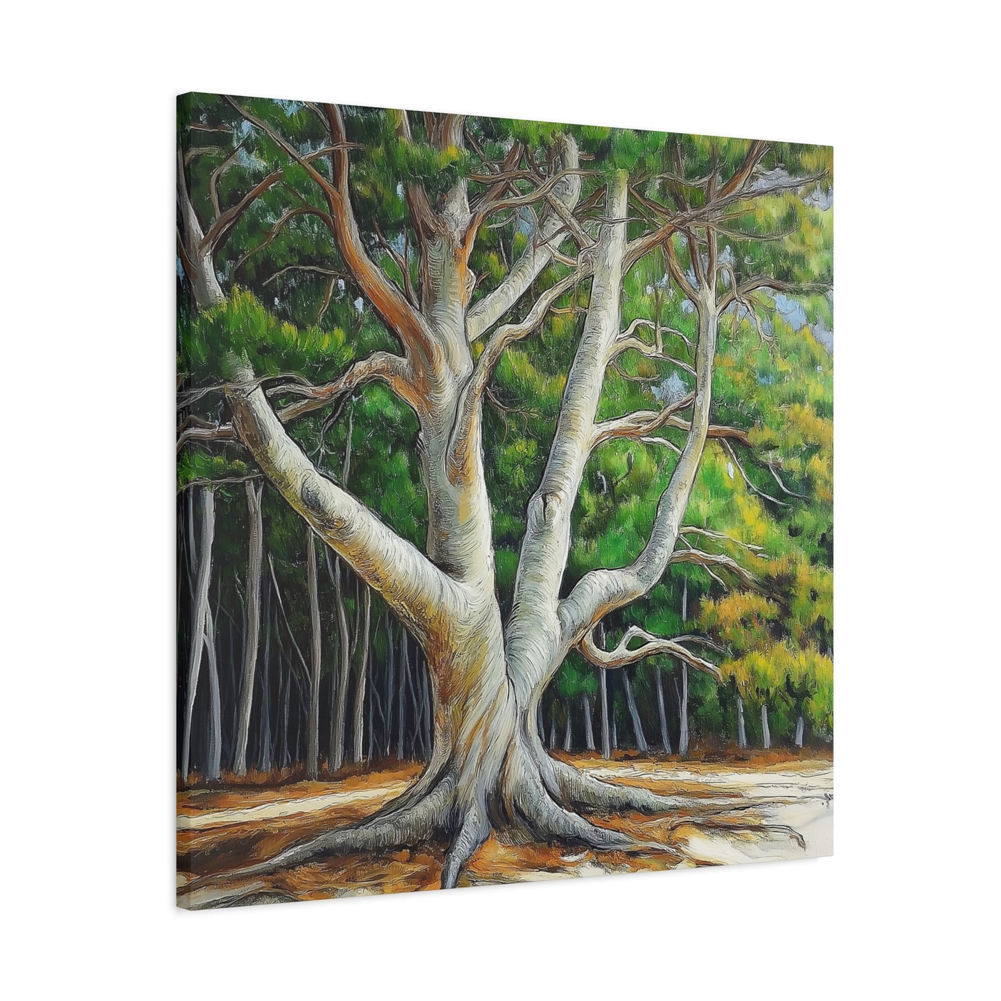Canvas Wall Art - Pondering Pine Tree No 2