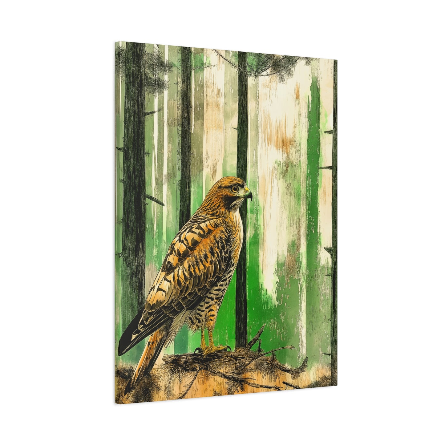Canvas Print Red Tailed Hawk in Colorado Forest