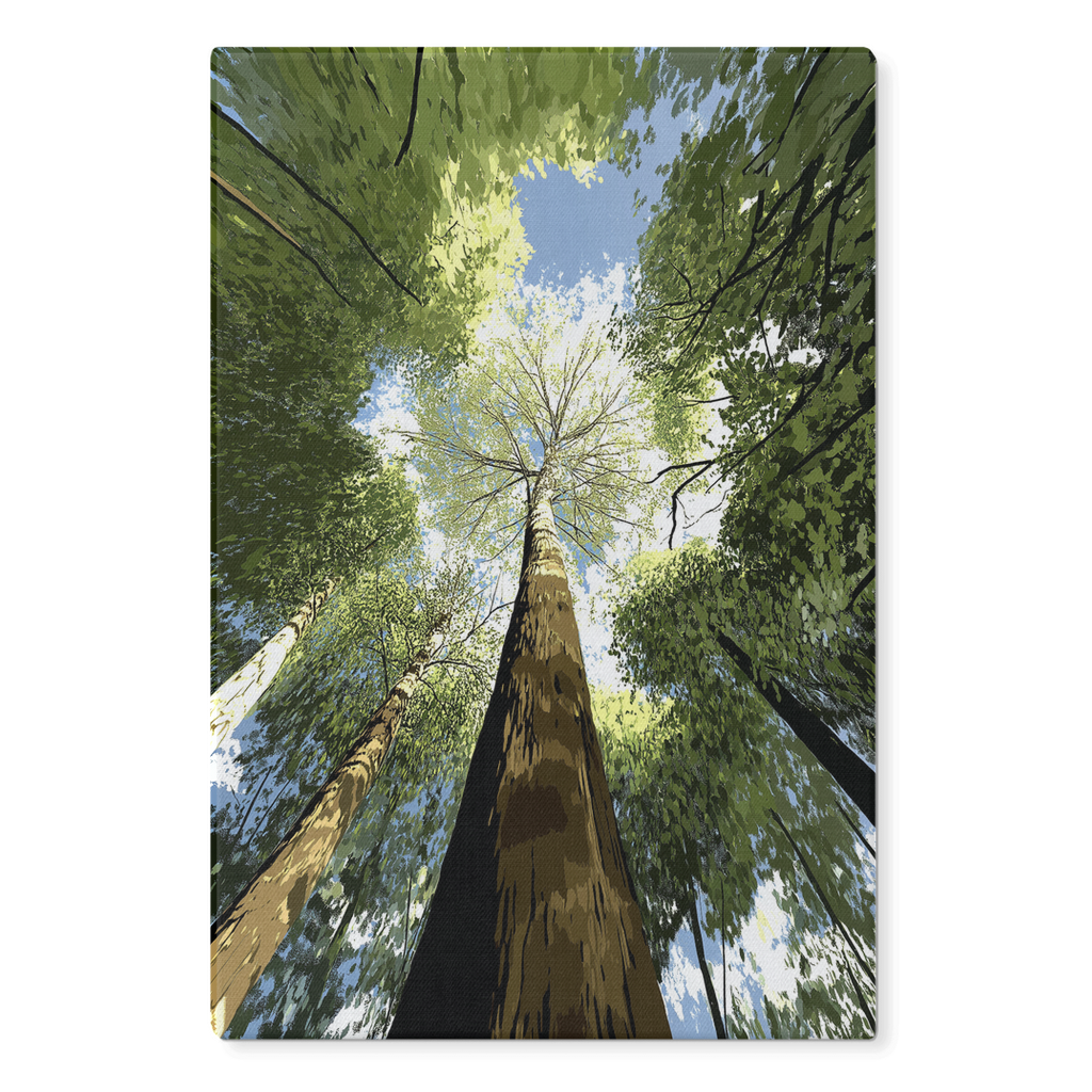CanvsWrp-ImgWrp-20x30-Thick-2025072008521743